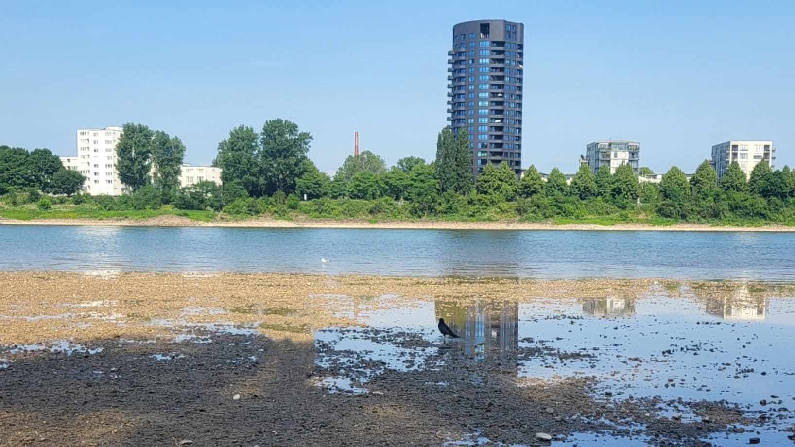 Niedrigwasser auf dem Rhein: Wenn Lieferketten auf Grund laufen